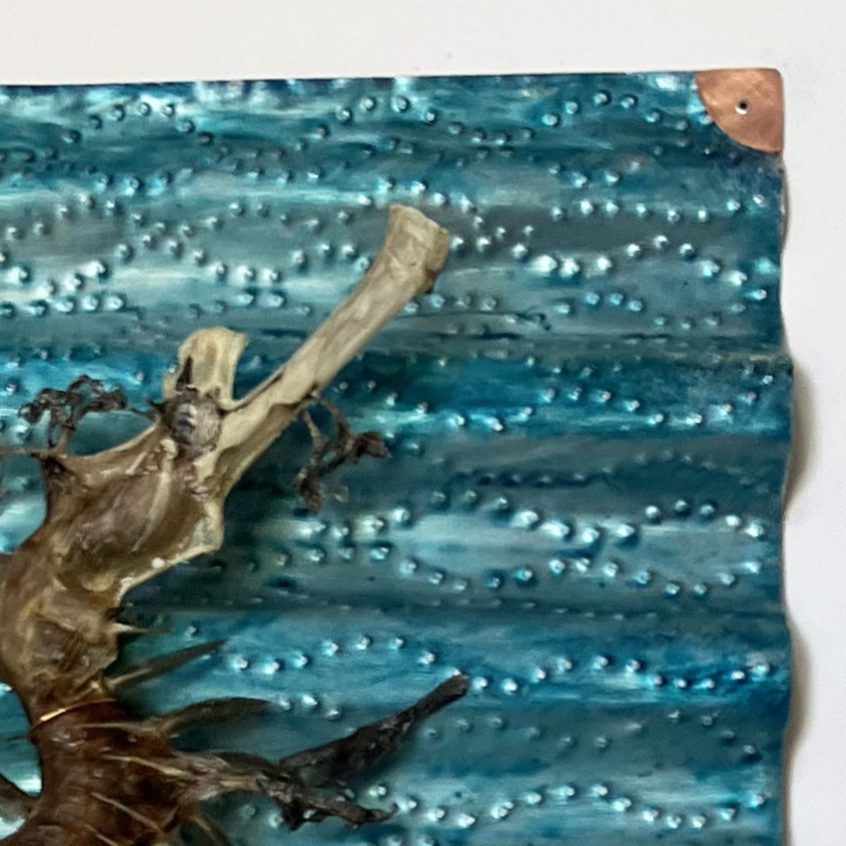 Lost Leafy Seadragon - Image 2