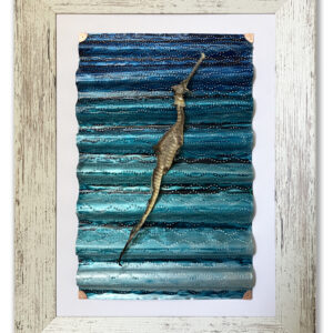 Lost Weedy Seadragon