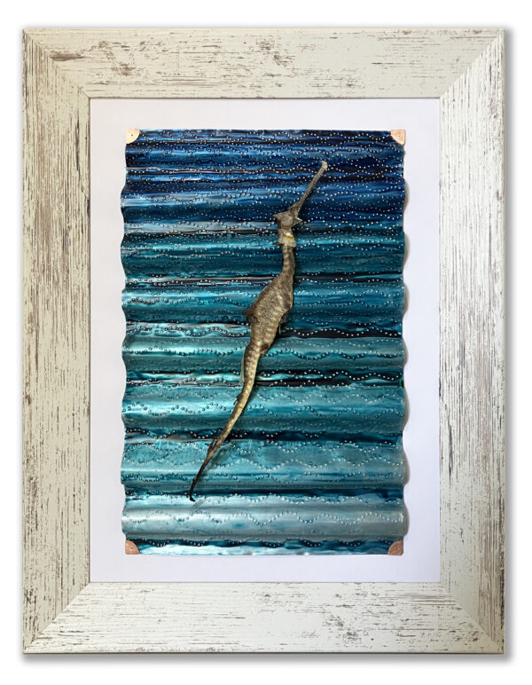 Lost Weedy Seadragon