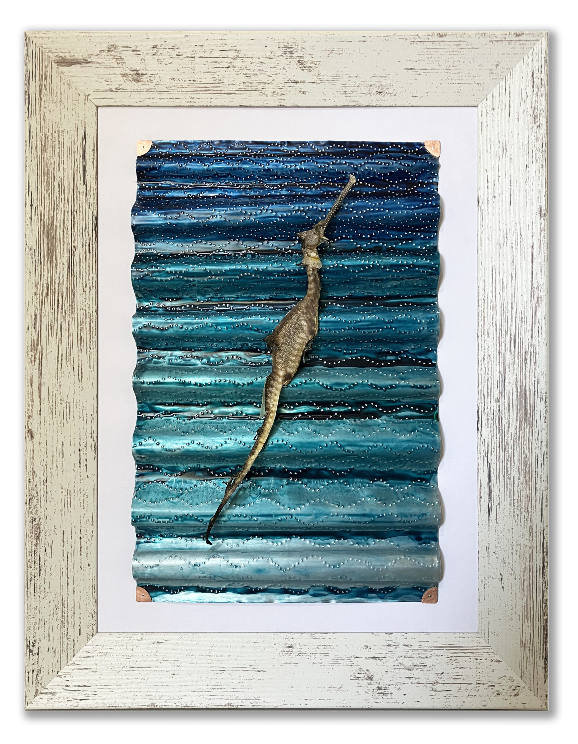 Lost Weedy Seadragon